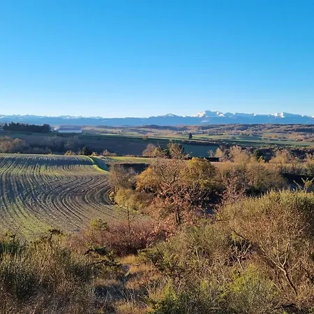 L'orchidée D'hôtes Hounoux