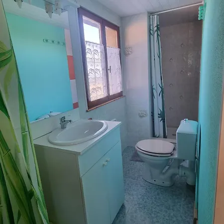 L'orchidée D'hôtes *