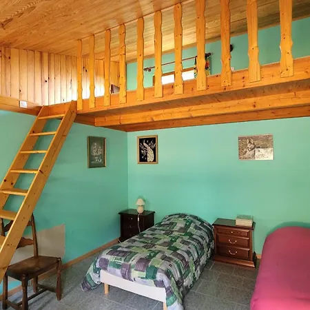 L'orchidée D'hôtes